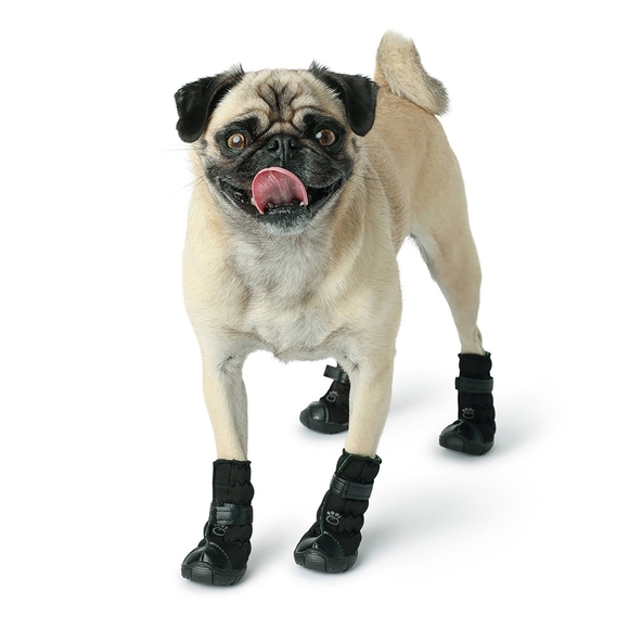 🆕️Super Cute. Great Quality. Black Dog Boots. Dsst